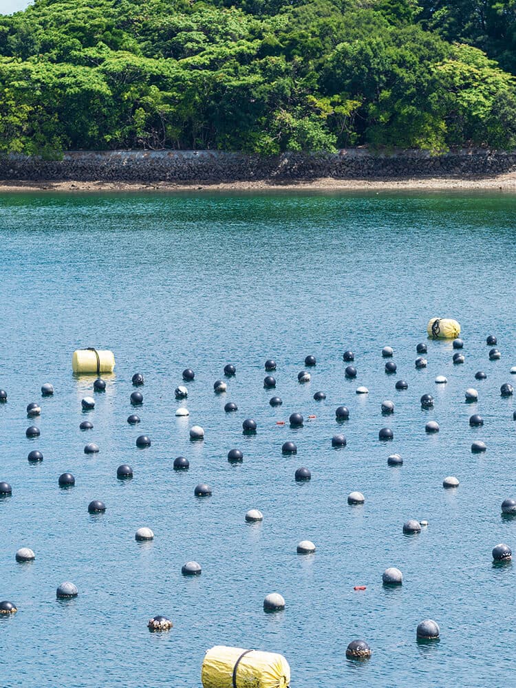 Underwater drone (ROV) for inspection of fishing nets at aquaculture facilities